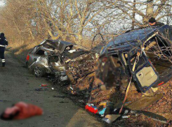 Женщина, впавшая в кому после автокатастрофы с гибелью мужа и ребенка под Новыми Аненами, пришла в сознание