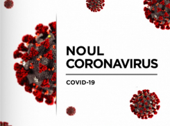 Срочно! В Молдове подтверждено еще 1635 новых случаев COVID-19 