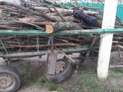26-летний парень в Хынчештском районе попал в больницу после того, как не справился с управлением... телегой
