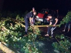 Поваленные стихией деревья заблокировали трассы на севере Молдовы