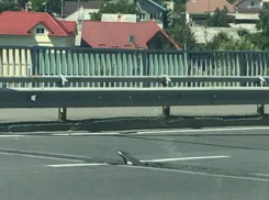 Столичный виадук превратился в угрозу для водителей 