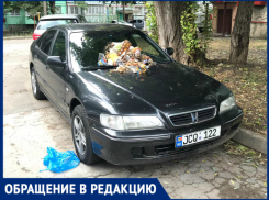 Как с такими людьми жить в одном дворе? - Сергей Круглов