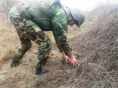 Опасные снаряды обезврежены сапёрами в Каушанском районе