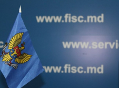 Налоговую службу наделили новыми полномочиями 
