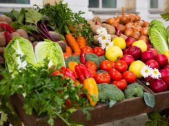 Список экспортеров молдавской продукции на российский рынок будет расширен
