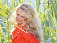 Провокационную фотосессию без нижнего белья устроила секс-бомба Памела Андерсон 