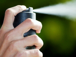 Гражданку Молдовы ограбили в Купчино с помощью аэрозольного баллончика