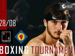 Профессиональный бокс Молдовы: Стартует турнир Wise Boxing Grand Prix