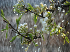 В воскресенье Молдову будет штормить: ожидается дождь и ветер 