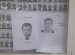 Фото Шора и Цуцу появились на панно «Их разыскивает полиция»