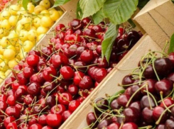 Дан старт продажам черешни. Пока 450 леев за кило