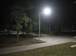 В парке «Алунелул» заработало новое LED-освещение