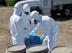 Молдова доставила в Польшу 60 тонн ядохимикатов 