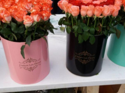 Стали известны самые популярные цветы в Республике Молдова