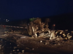 Водитель микроавтобуса погиб при столкновении с лесовозом в Яловенском районе