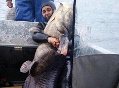 Он еще Ленина видел: дедушка-сом весом в 140 килограммов шокировал рыбаков в Черкассах 