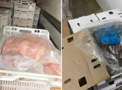 Крупные контракты на госзакупки получила столичная компания с «темным прошлым»