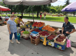 Фермеры смогут продавать свою продукцию на сезонных ярмарках в Кишиневе, - генпримар  