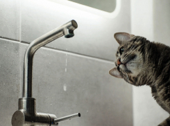 Новый год без воды: в Кишиневе аварии на канализации привели к массовым отключениям