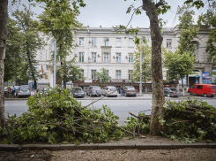 На бульваре Штефана чел Маре спилят более 250 деревьев