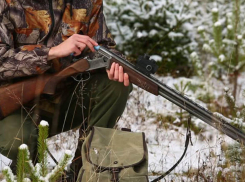 Штрафы за браконьерство увеличат