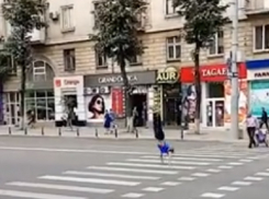 В Кишиневе молодой парень изумляет публику своими сальто на пешеходных переходах