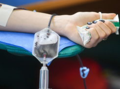 Плазма доноров способствовала выздоровлению от COVID-19 пяти пациентов РКБ 