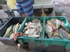 Торговцев «плохой» живой рыбой в городах Молдовы наказали