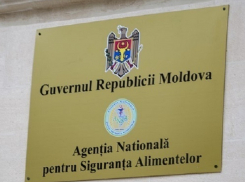 Колоссальный ущерб госбюджету Молдовы причинили задержанные сотрудники Агентства продовольственной безопасности
