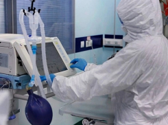Срочно! В Молдове выявили 323 новых случая COVID-19