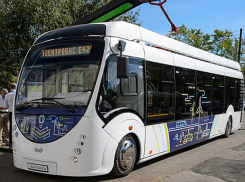 Сильвия Раду отказалась выпускать на столичные улицы «электробус от Лукашенко»