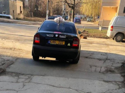 В Кишиневе таксист намеренно задавил кошку на глазах шокированной пассажирки