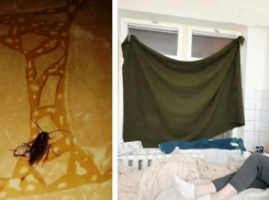 Младенцы в столичной больнице №1 оказались в жутких условиях с огромными насекомыми