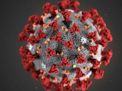 В республике запущен Центр информирования Coronavirus Moldova 