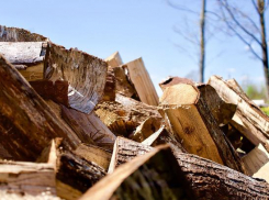 Хаждер: запасов дров в Молдове достаточно, повышения цен этой зимой не будет