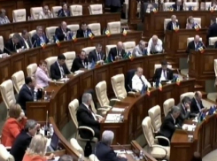 Учреждение парламентом Дня конкуренции вызвало негодование Марии Чобану