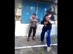 Получила по голове за то, что кормила кошек - скандал на Чеканах