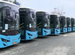 Все жалобы с сайта ANSC после скандальной покупки автобусов для столицы загадочно исчезли