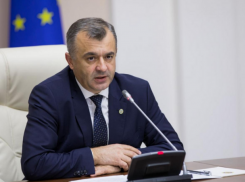 Решение КС отклонить ходатайство Avia Invest - мнение Кику