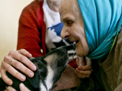 Внук на глазах пенсионеров до смерти забил их любимую собаку в Тирасполе