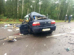 Массовая смерть: грузовик раздавил авто с пятью известными на Украине политологами