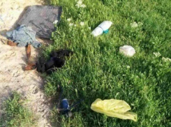 В районе Штефан Водэ мотоциклист умер после ДТП с грузовиком