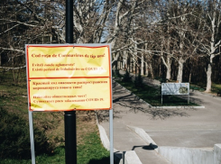 В парке «Долина Роз» и слыхать не слыхали о ЧП - народ гуляет по-старому, без масок и соблюдения соцдистанции