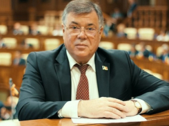 Реницэ и Арсени рвутся в парламент под крылом Цыку