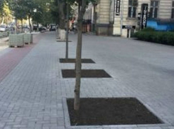 Ремонт тротуаров на столичном проспекте Штефан чел Маре вызвал возмущение и насмешки горожан 