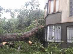 На Кишинев надвигается сильнейший шквалистый  ветер