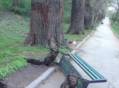Вандалы вырвали скамейки и урны в Долине роз