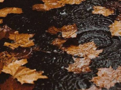 В пятницу в Молдове будет холодно и дождливо 