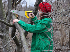Катастрофическое падение во время обрезки дерева обернулось смертью молодой женщины в Приднестровье 