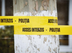 Лесник погиб из-за упавшего дерева – трагедия в Шолданештах